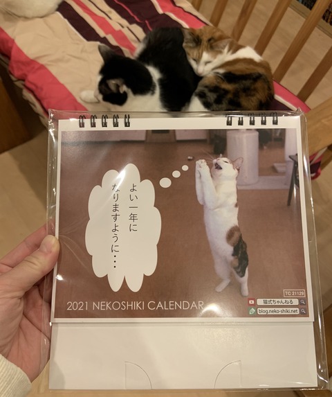 635A40BC-D8E1-4301-BAA9-45324858AAA3