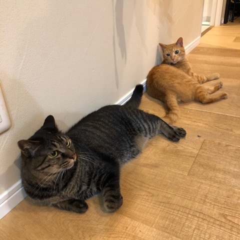 E79F1EA5-2DBF-4B91-B838-D60E50C5F2EA