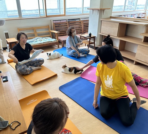 41123F20-EA16-4A76-BBA0-150F4901100E