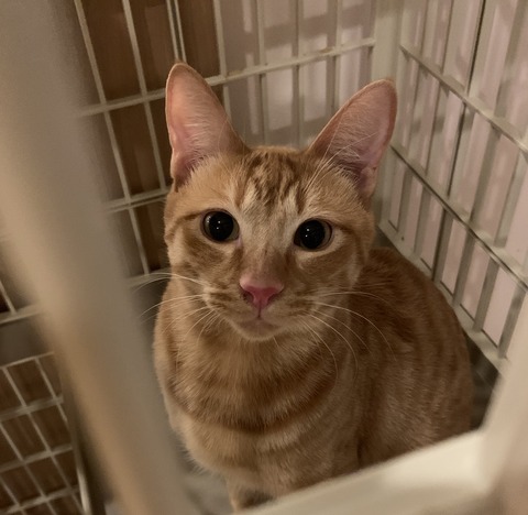 6396CC80-6529-4BB7-8C2F-654BA7B05D5A