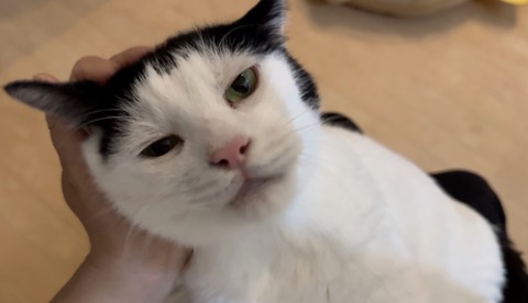 72419753-D123-4BE8-933A-97207BFF4C54