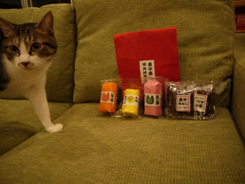 猫式ブログ~里親募集型猫カフェ