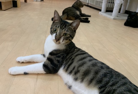 D1BD7C8E-9330-4E28-B3F6-56769B36304D