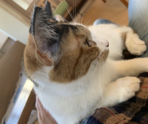 828787C9-67C2-416B-ABDA-C3115386B6FC