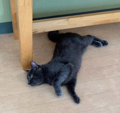 A54BE7CE-FB8F-4482-B8A6-104CF074DB38