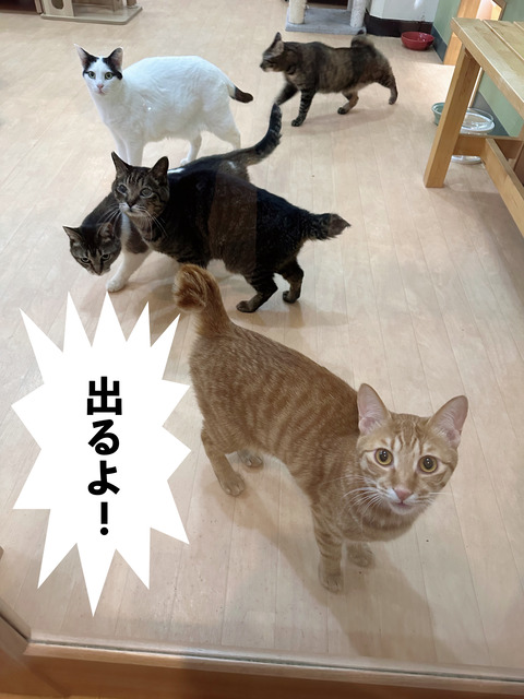 AB50BF9D-E259-4D1C-9F7C-829A9A924A80