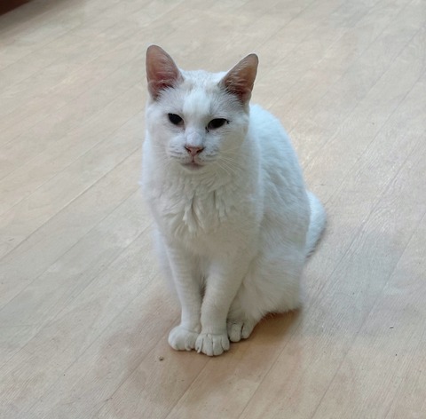 393808B6-0CB9-443B-8FFF-4DABCD8EE85D