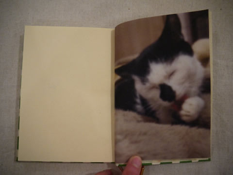 猫式ブログ~里親募集型猫カフェ