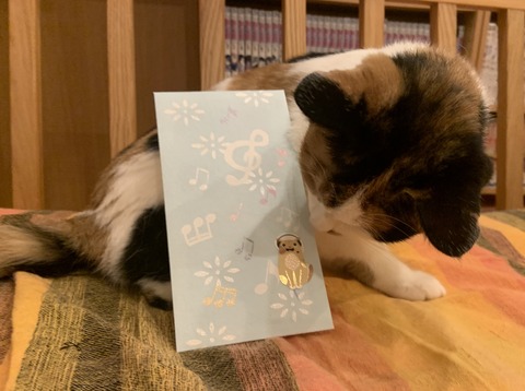 449645B9-8C09-4BD9-973F-BB3EC4AC41C4