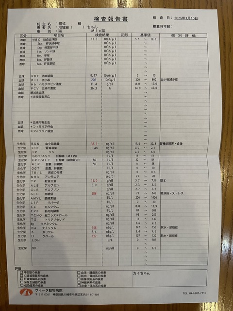 E4A33D8E-21BF-4202-ADB4-7E03ACDF79B5