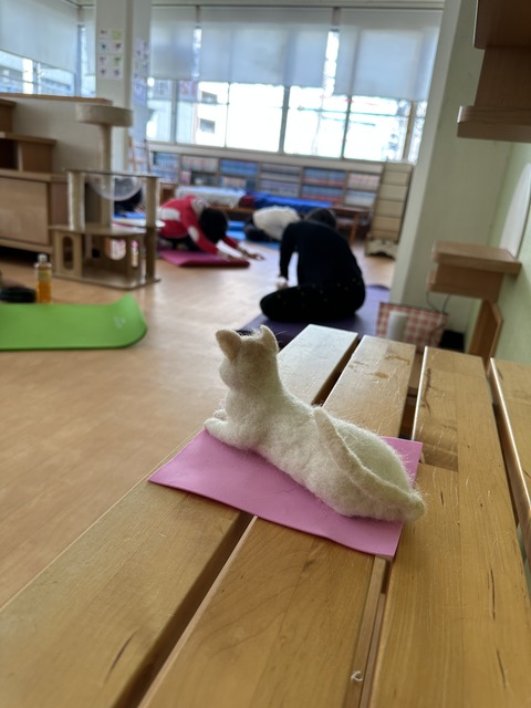 9E547B33-8E62-452A-99C6-4C4F4D3105F4