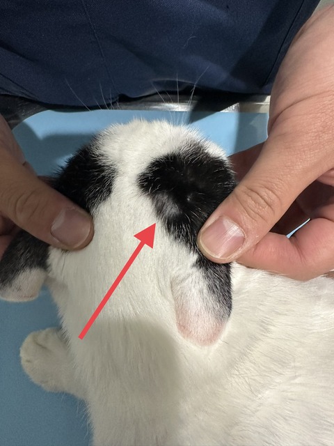 B30B1A12-FB8D-4973-AEE1-58FBDDC9C148