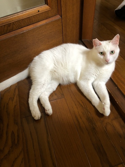 85F1E656-D45B-4047-AEC1-5E04A8FC9C12