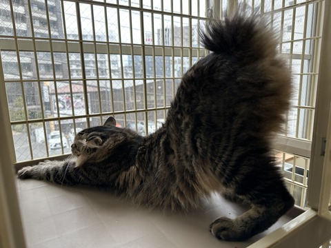 BE709DDC-4B8E-4364-9A04-113434346A8C