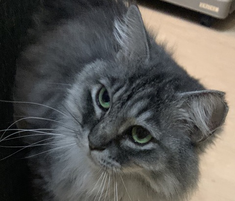 AE9E0D23-2FE1-4ED2-9FE0-9C1ED6506430