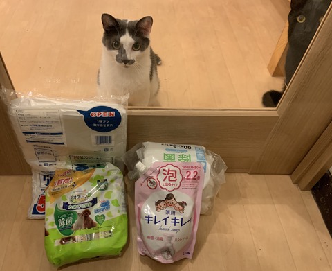 6AD19E96-80FC-4B28-A77D-EB0092687FEE