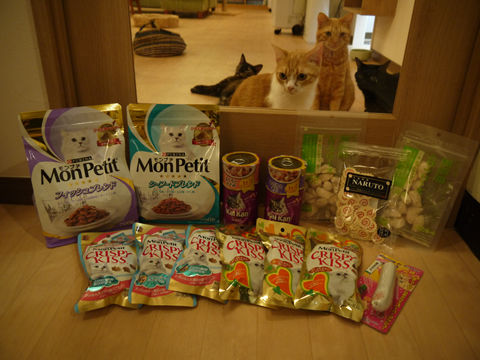 猫式ブログ～里親募集型猫カフェ
