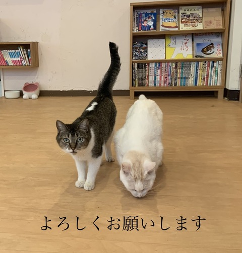 06D99690-5876-4B1B-99B8-9A24C4C61667