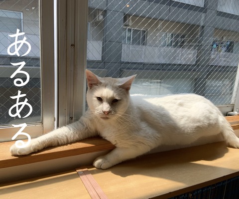 A24AC2F3-69FC-43DB-89D4-928CB90EF916