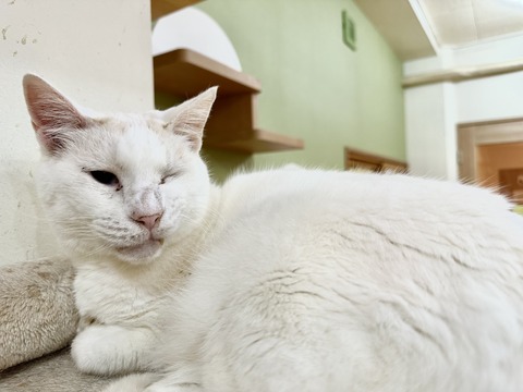 80EDBAC7-A68C-4D45-AF26-302DE5964EF6