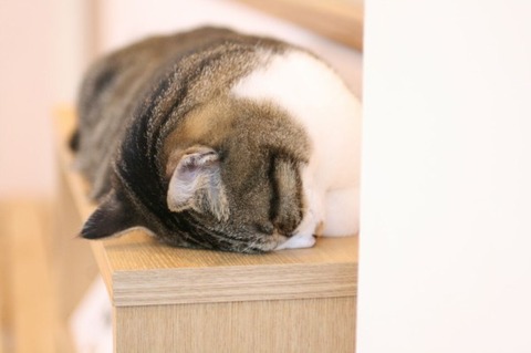 E7767B6F-343B-403E-9AEA-966ABA9D9D84