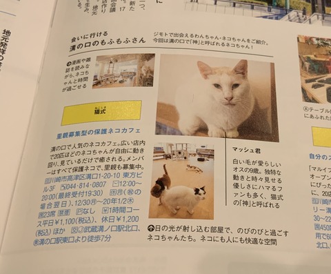 67B90A12-0196-43DC-9DD8-0F7055707014