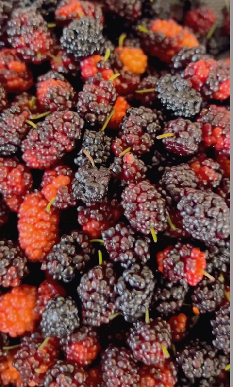 EF440211-B8CE-445C-AC65-358E6F4C0CD5