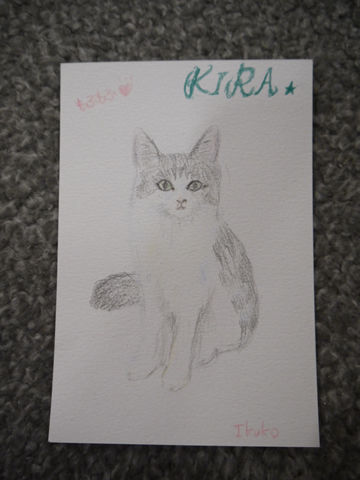 $猫式ブログ～里親募集型猫カフェ