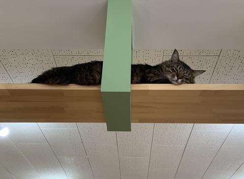 60C3EAC4-3280-46D6-9C8C-E7A83E5F5349