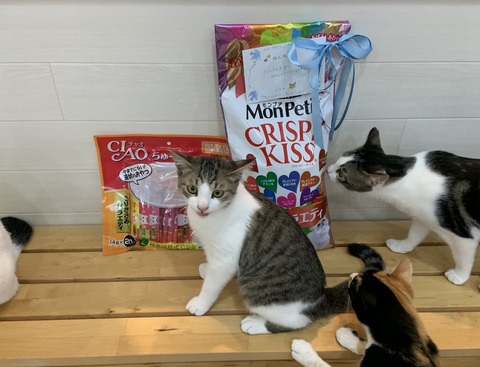 99BFE7F0-22B2-4CA3-9FCF-6B3763D2B255