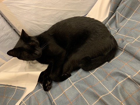 1135ADA1-B9C8-4927-835B-D0F576C52DB3