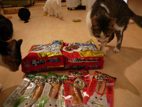 猫式ブログ～里親募集型猫カフェ