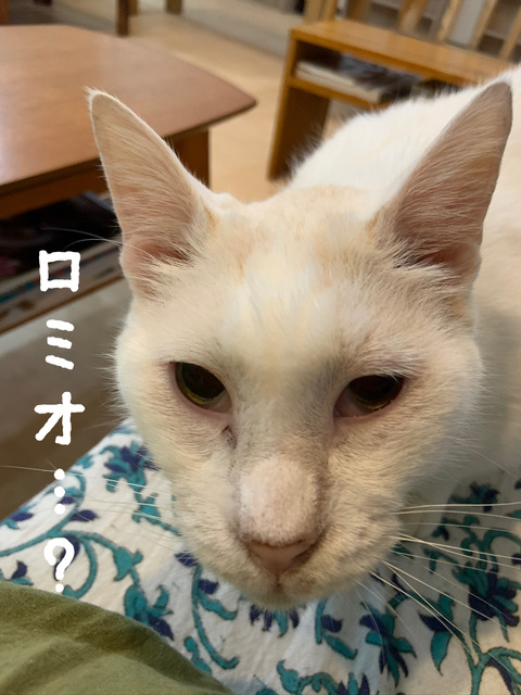 0E8EC27B-1782-47CC-9156-BF6D37069BF6