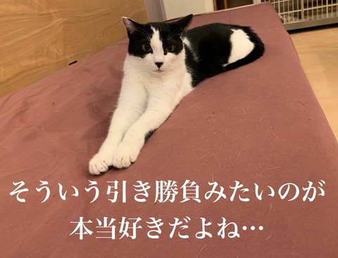 C791E839-7496-4AE9-BA86-AF54DDA1F24A