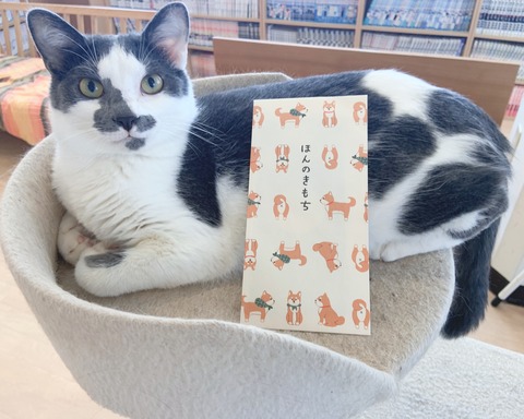 3BE5765B-790C-4290-94AF-85C6415C881E