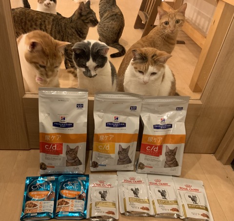 B6CEC864-2F4C-4E8E-B591-D834F62E2F80