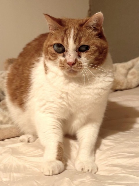 C95606EF-935C-444B-804D-2EB6F225E221