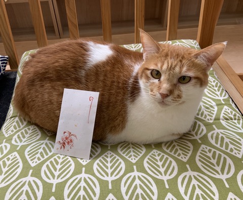 14A8434F-0FAB-4561-BBAB-0D548FA3D733