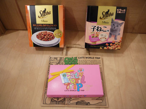 猫式ブログ~里親募集型猫カフェ