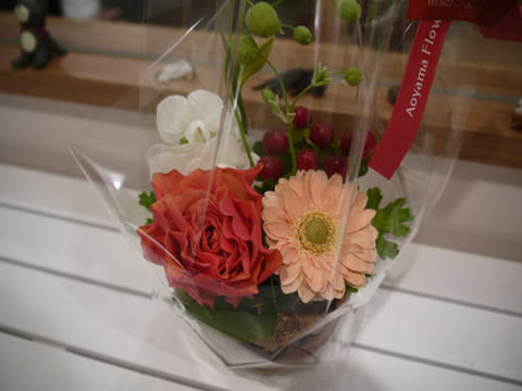 猫式ブログ～里親募集型猫カフェ