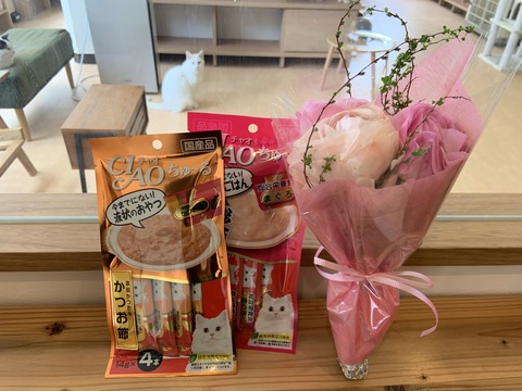 120974AC-5140-4DC1-97E4-0E9C49CC6CF1