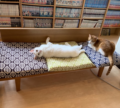 74C2A8BD-FA6E-4C99-9240-BE1CC0A91A7A