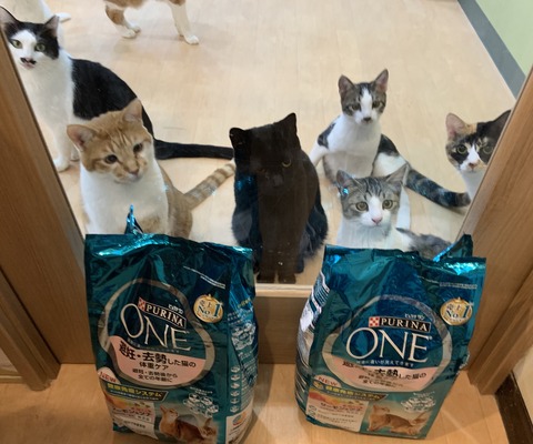 CF906F7B-CBAF-4286-87E9-A3B627712079