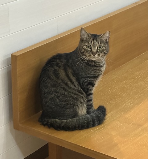 A029FC53-D819-470E-9F6F-37C945B6CF6A