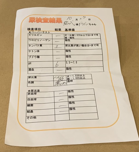 1E41DAD7-A524-43BA-BBC2-57F47086DF0B