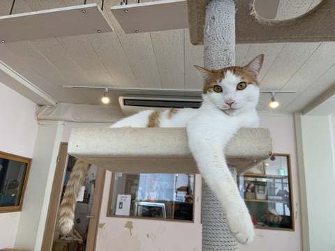 FBCB02CB-94E4-4801-AC85-18F290AA1320