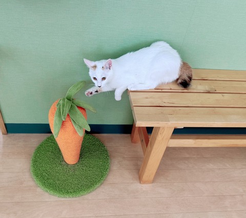 8BE7FD3D-A803-46A3-8479-CC90D5FC3D51