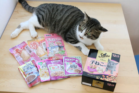 猫式ブログ～里親募集型猫カフェ