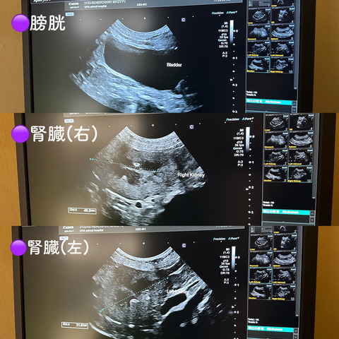 9C4CF550-4000-4BE2-AB9B-D3FA716F1D9E