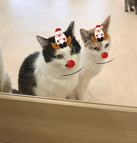 6DF61BE5-7D4A-42D1-A548-B30EC46DC50A